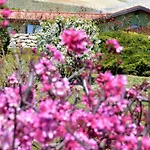 B&B Il Casotto Nelle Langhe 파리글리아노