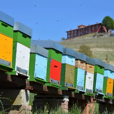 Panzió Il Casotto Nelle Langhe Farigliano