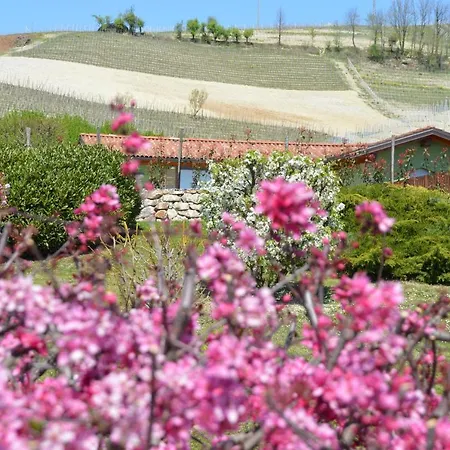 Panzió Il Casotto Nelle Langhe 4*