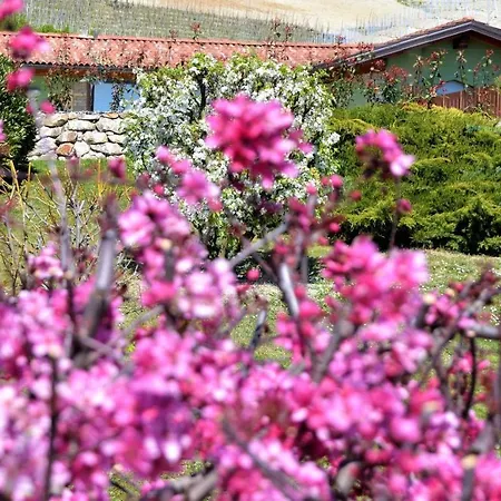 فندق مبيت وإفطار Il Casotto Nelle Langhe Farigliano