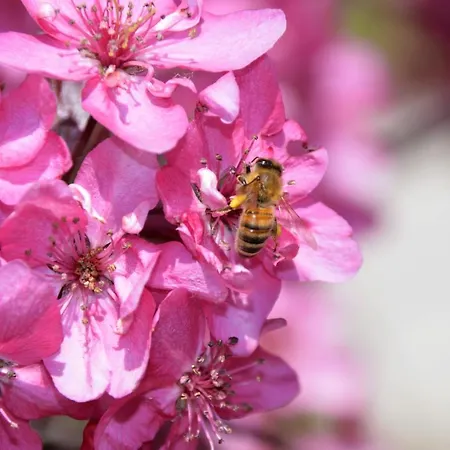 Il Casotto Nelle Langhe 4*