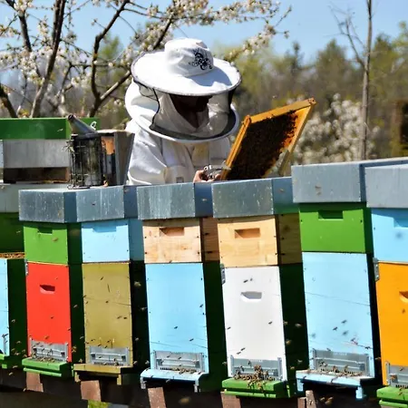 Panzió Il Casotto Nelle Langhe 4*