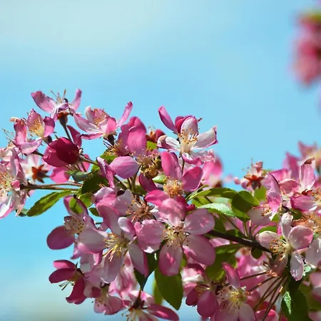 Il Casotto Nelle Langhe