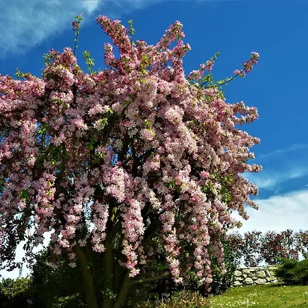 Il Casotto Nelle Langhe Panzió Farigliano