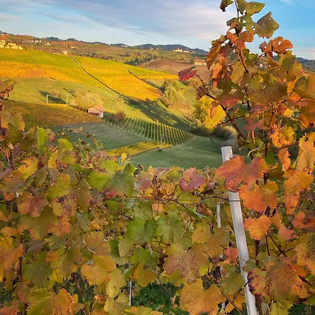 Il Casotto Nelle Langhe *