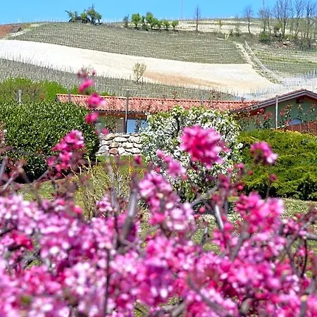 Il Casotto Nelle Langhe Bed & Breakfast Farigliano
